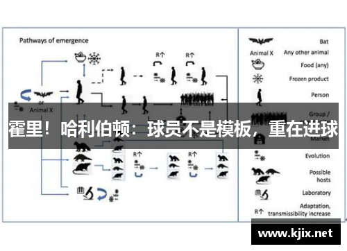 霍里！哈利伯顿：球员不是模板，重在进球